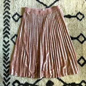 Velvet Skirt